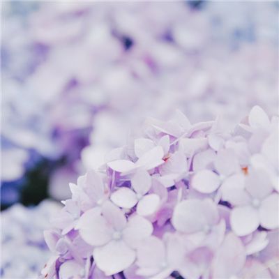 银月之灵手游(暂未上线)v1.2 安卓版